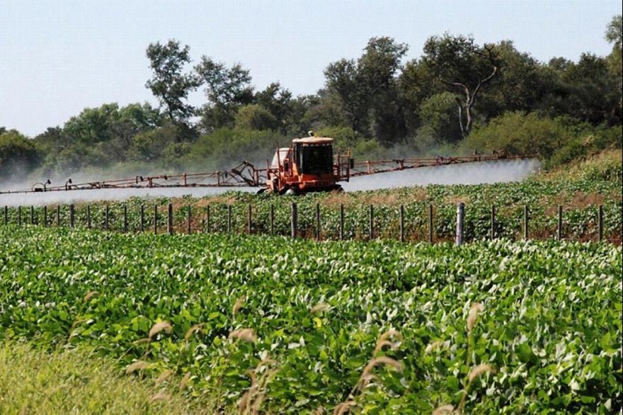 La Provincia creó el AgroRegistro MiPyMEs