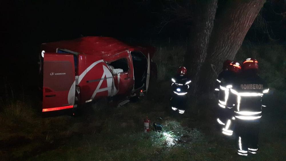 Camioneta de correo privado embistió un carpincho en ruta 5: un herido