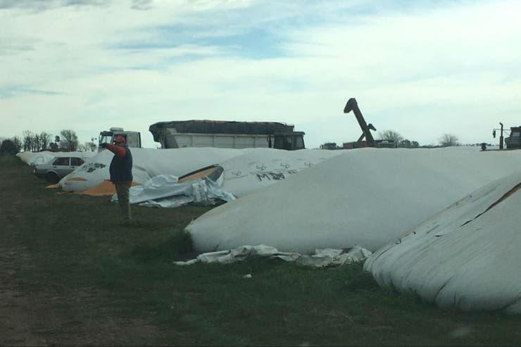 Vedia: Cargill sufrió el ataque a 20 silobolsas y ya vandalizaron 129 a nivel país
