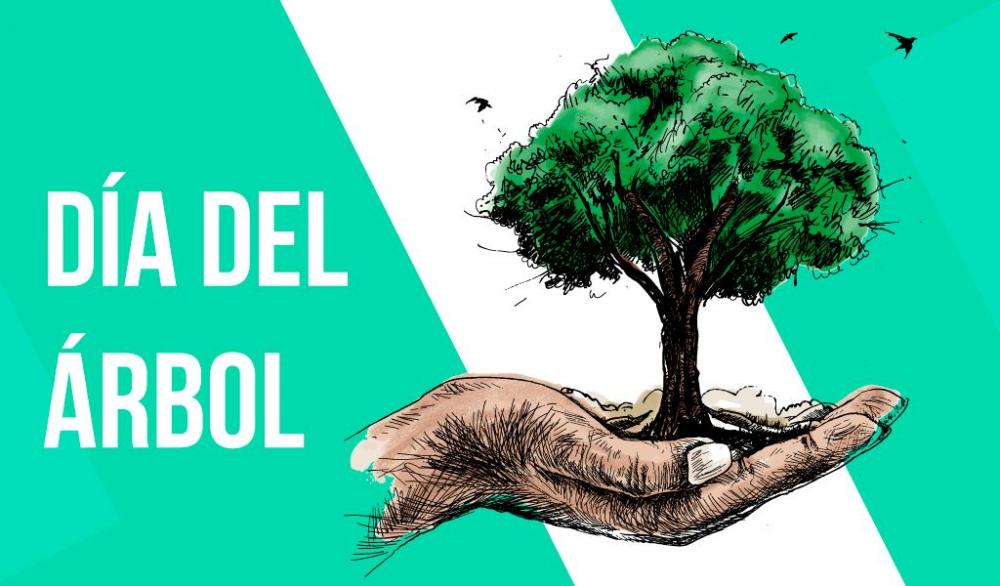 Día del Árbol: la importancia de cuidar y valorar el 