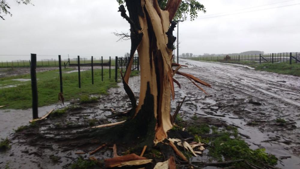 Temporal con caída de rayos y 50 milímetros de lluvia en promedio