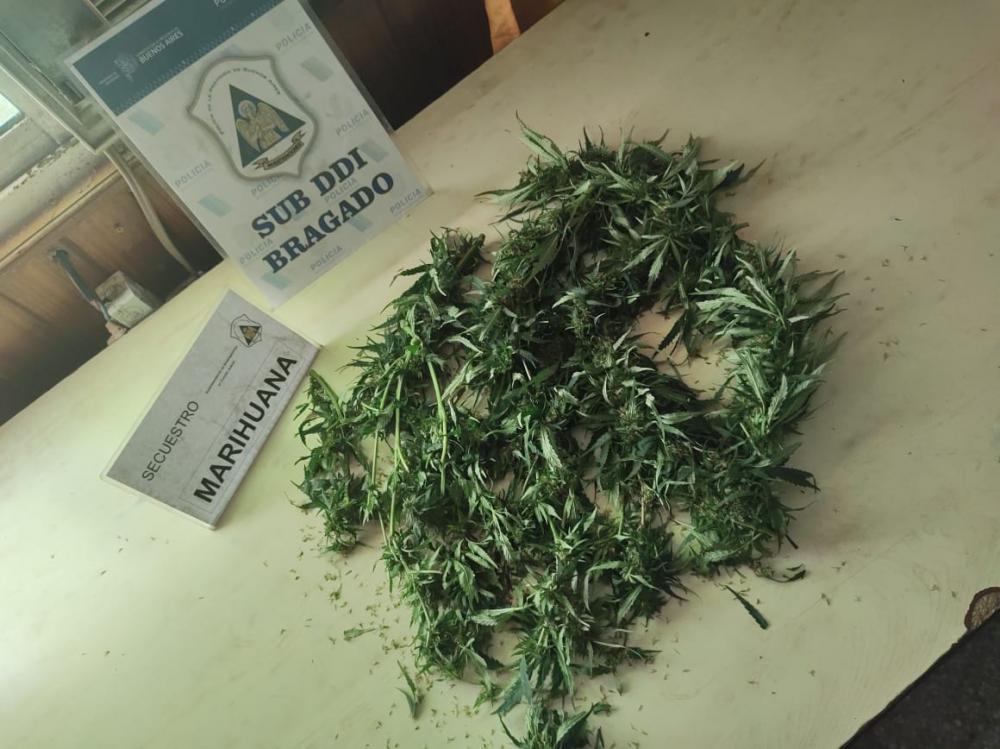 Porro delivery: interceptan a vendedor de marihuana en la ruta 46
