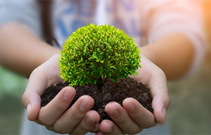 Jóvenes por el Clima celebra la ley de Educación Ambiental Integral 