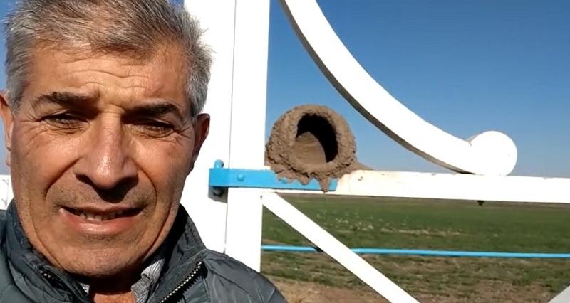 Un hornero dejó de construir el nido en su campo y cree que eso podría anticipar algo