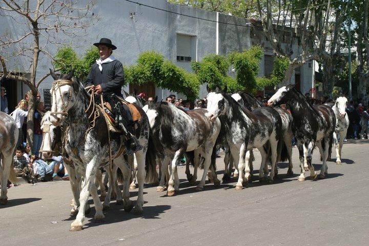 Fiesta del Caballo: habrá restricciones en el centro y en la laguna