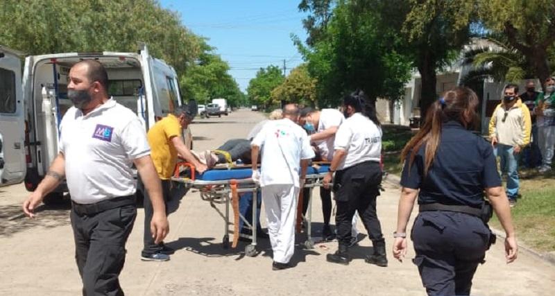 Animales en la vía pública, el otro gran problema: una mujer cayó de su moto