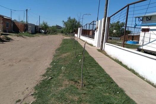 Cada vez peor: inentendible ataque a los tilos del CEC 802 