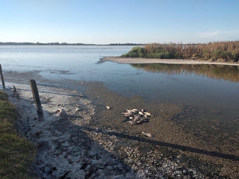 La laguna agoniza y hay máxima alerta