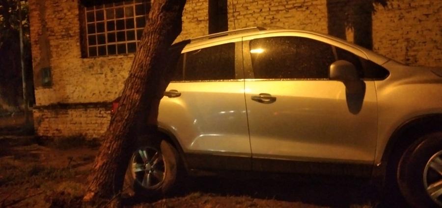 Temporal: un árbol cayó sobre un automóvil estacionado