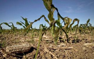 La Provincia adelantó que brindará ayuda a productores afectados por la sequía
