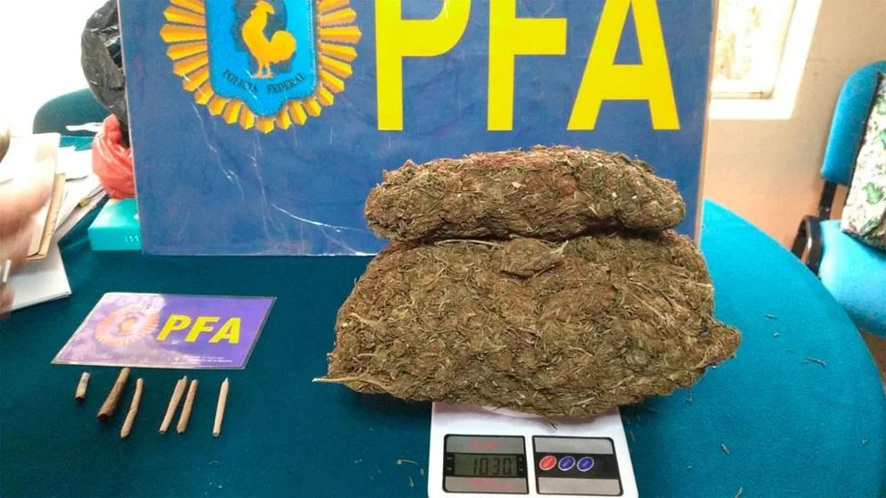 Valdés: Alumnos de una escuela rural tenían una cosecha de marihuana dentro del colegio