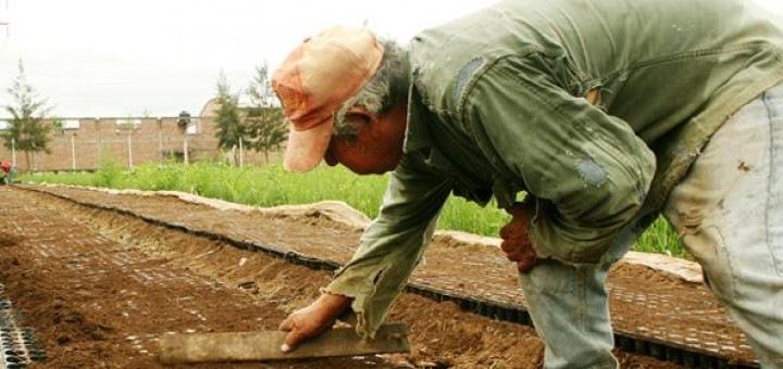 La Provincia perdona deudas a 27.000 monotributistas sociales