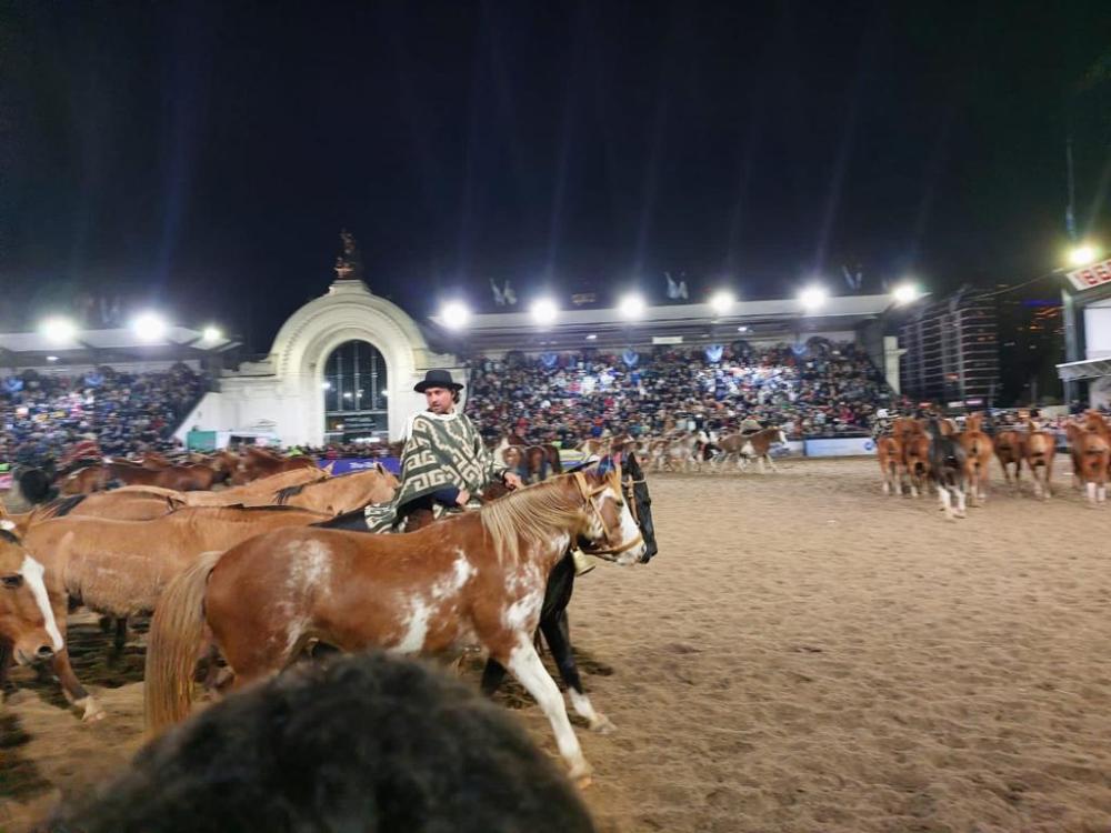 Una tropilla bragadense fue premiada en La Rural de Palermo