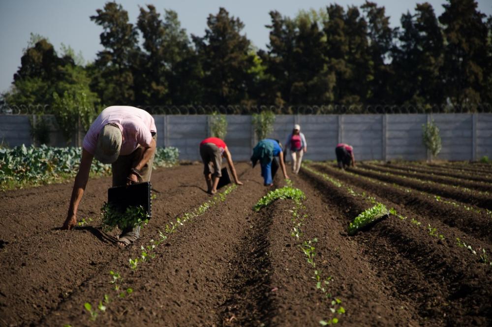 El Gobierno bonaerense creó la Mesa Provincial de Agricultura Familiar