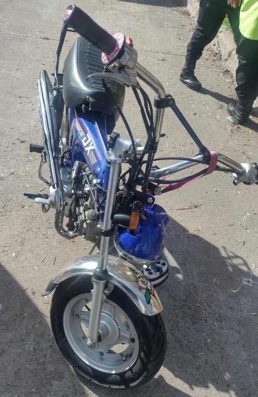 Un perro suelto provocó otro accidente y la Municipalidad sigue mirando para otro lado
