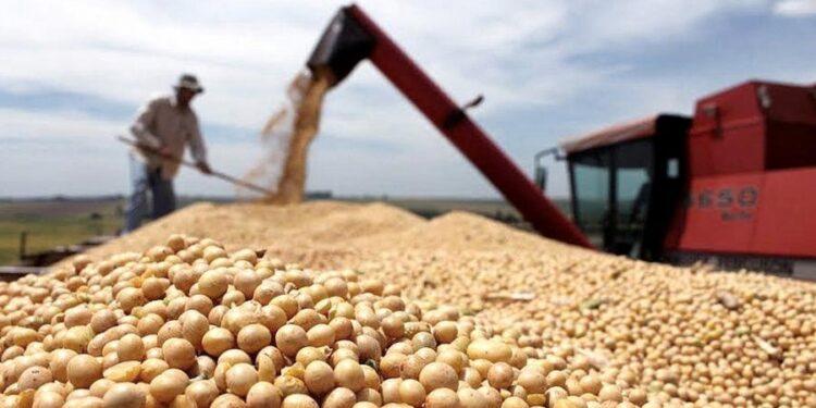 La UCR Bragado y el dólar soja: “Es una emboscada de Massa al campo por 5.000 millones de dólares”