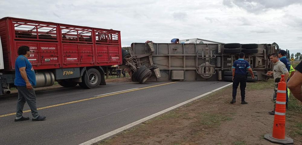 Volcó un camión con hacienda en ruta 5