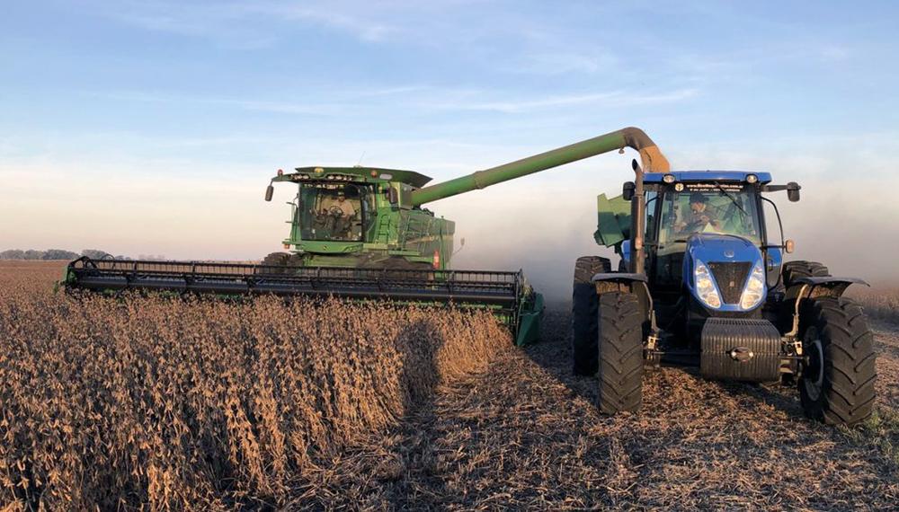 Sequía: la lluvia trae alivio a los productores de soja, pero llega tarde para el trigo