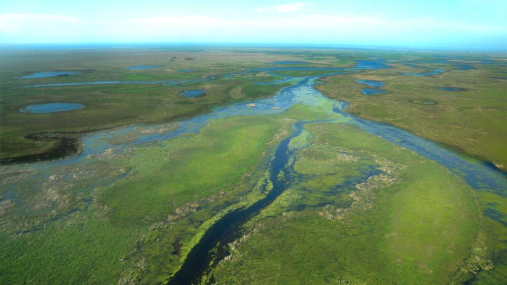 Provincia lanzó un plan para la conservación de humedales