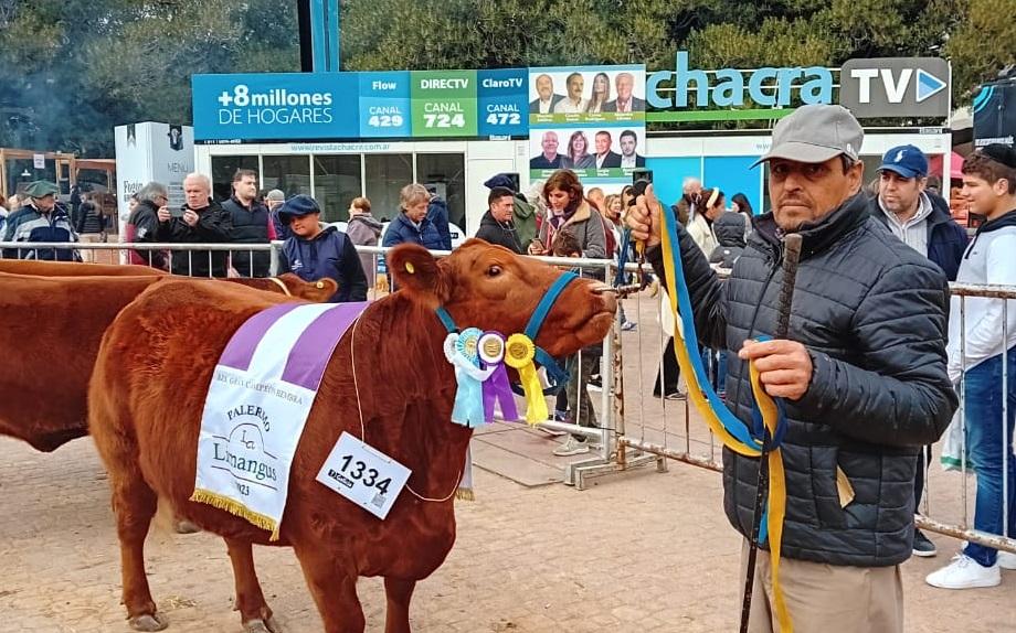 Satisfacción de cabaña "La Blanqueada" por conseguir la Reservada Gran Campeona en La Rural
