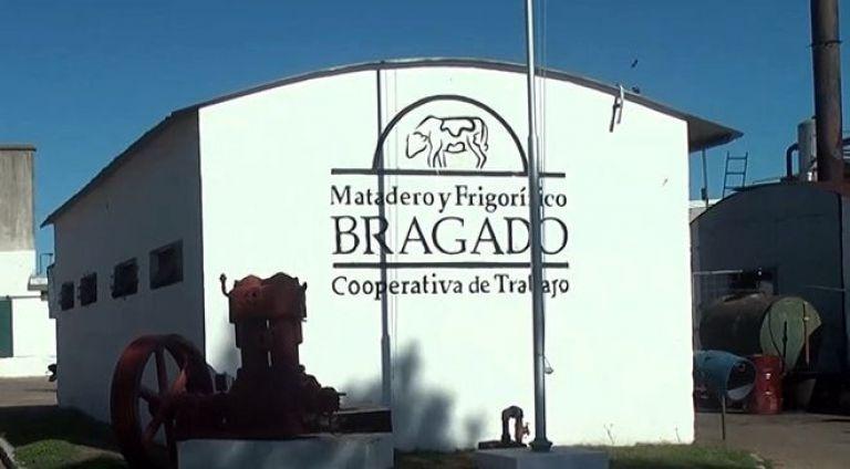 Cuatreros faenaron un novillo en el predio del Frigorífico Bragado