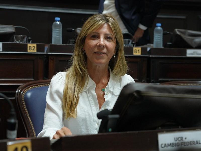 Provincia: buscan que parte de lo recaudado en multas de tránsito sea para comprar alcoholímetros