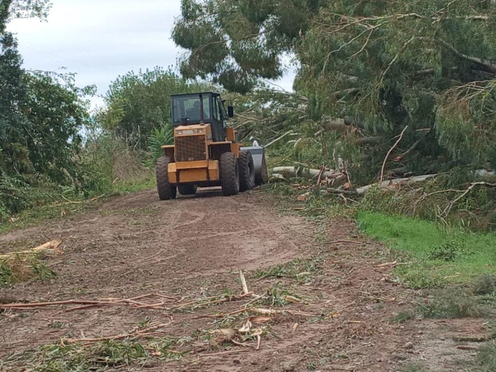 Tras el temporal, se liberó el acceso principal a Comodoro Py