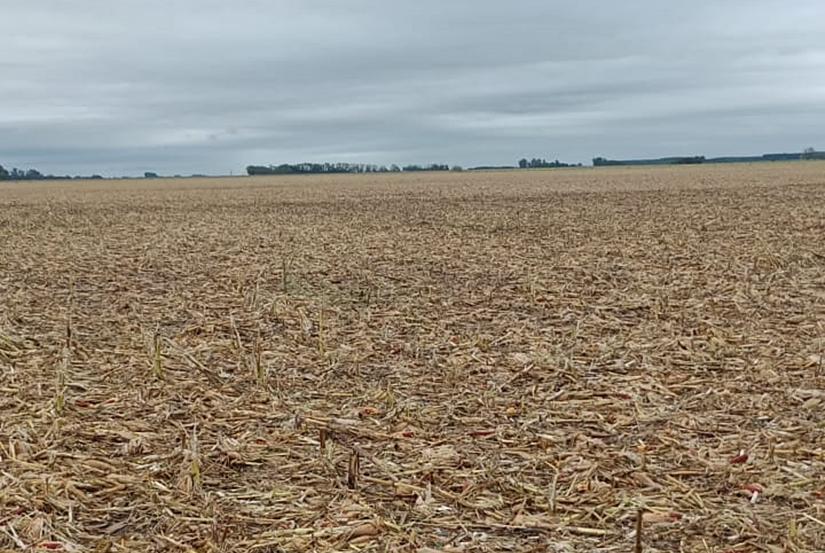 El INTA Bragado midió el impacto del último temporal: 19 mil hectáreas productivas afectadas