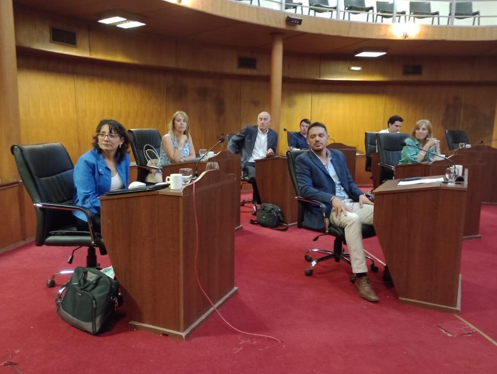 Aprobaron el pedido de informes sobre las excepciones de estacionamiento a funcionarios municipales