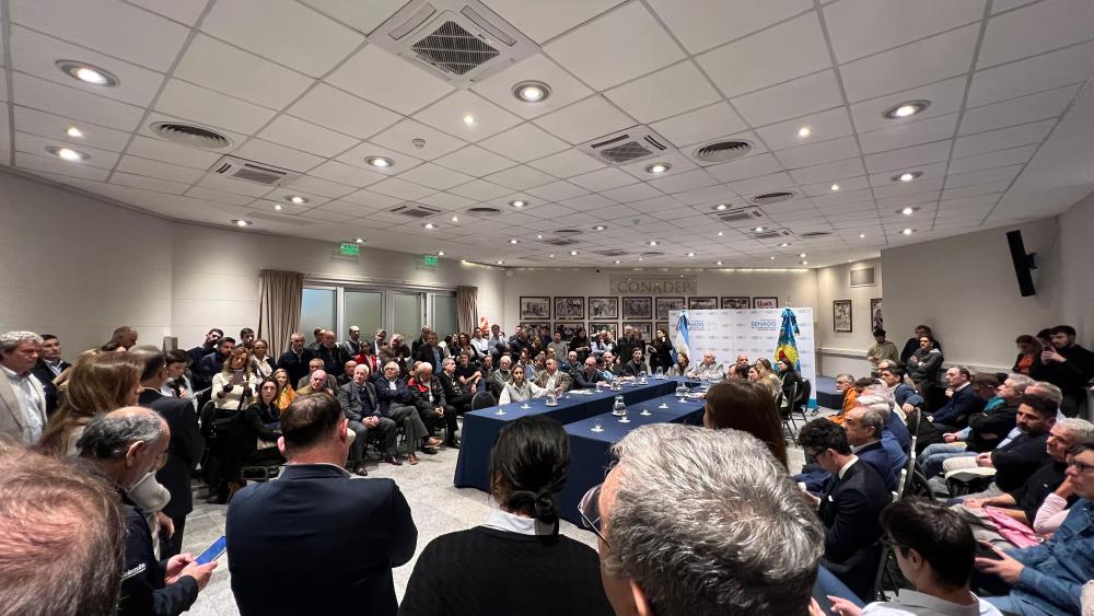 Senadores provinciales opositores buscan frenar el proyecto de ley que "fundirá a las Pymes"