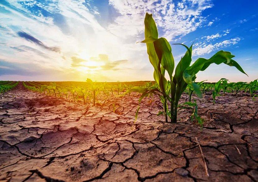 El fenómeno La Niña podría provocar un importante déficit de lluvias en la región
