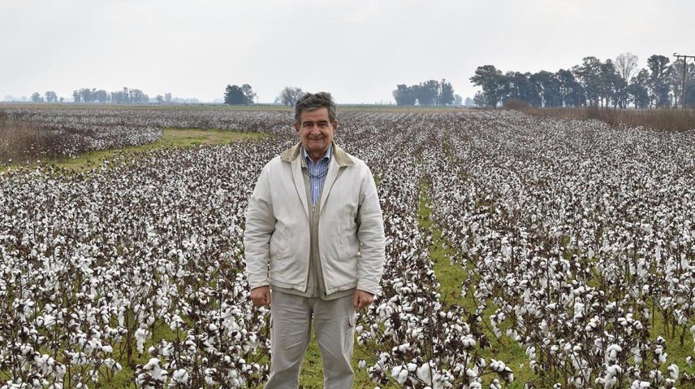 Un vanguardista: Fue el pionero en cultivo de soja y ahora promueve  el "algodón más austral del mundo"