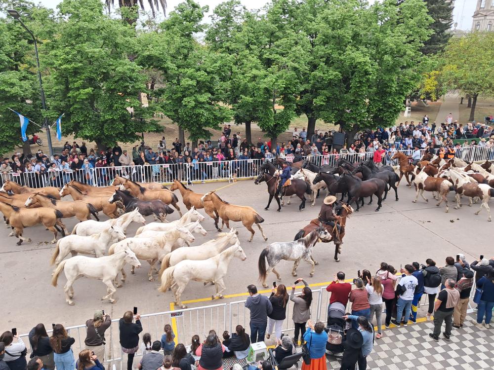 Más de 3000 jinetes participan del desfile que comenzó en horario