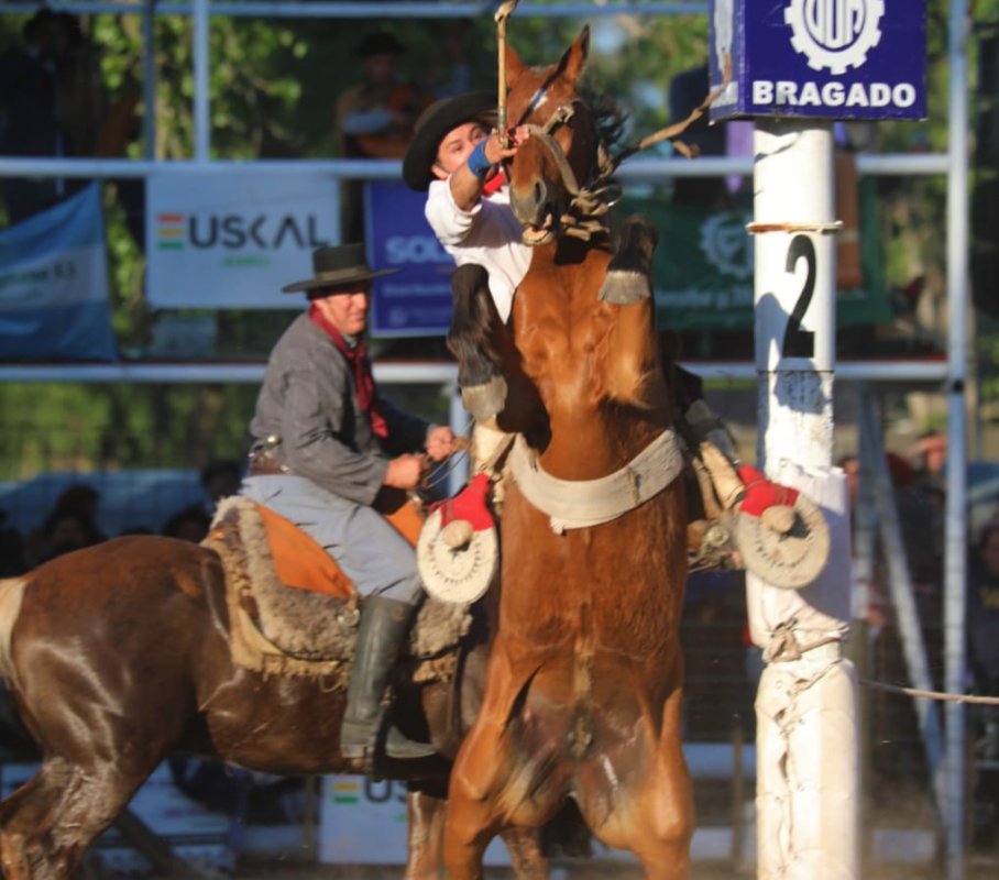 Fiesta del Caballo: Hubo menos gente en la laguna pero consideran que la edición fue exitosa