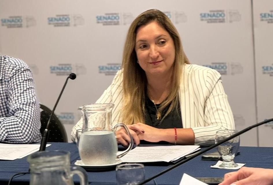 Una Senadora del PRO busca derogar definitivamente la VTV en la Provincia