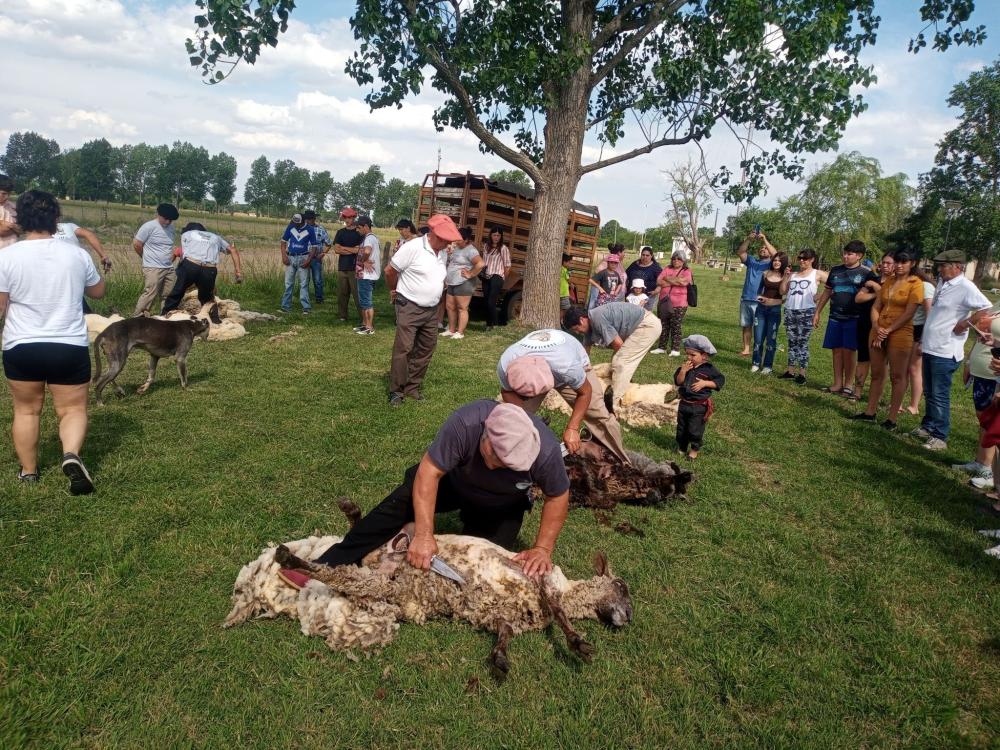 La Fiesta de la Tradición de O'Brien comenzó con una competencia de actividades criollas