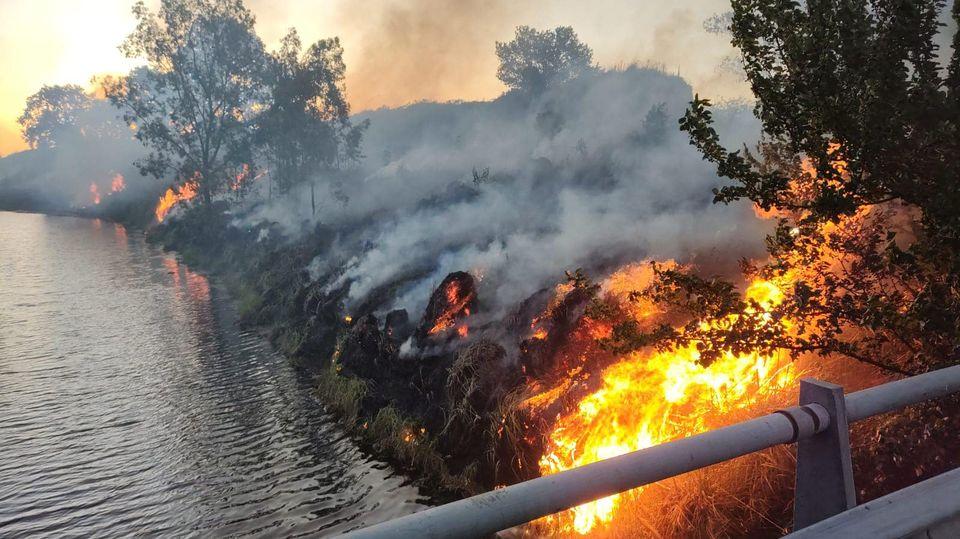 Incendios intencionales en el canal de Mechita: La Liga Verde pide que exista una zona protegida