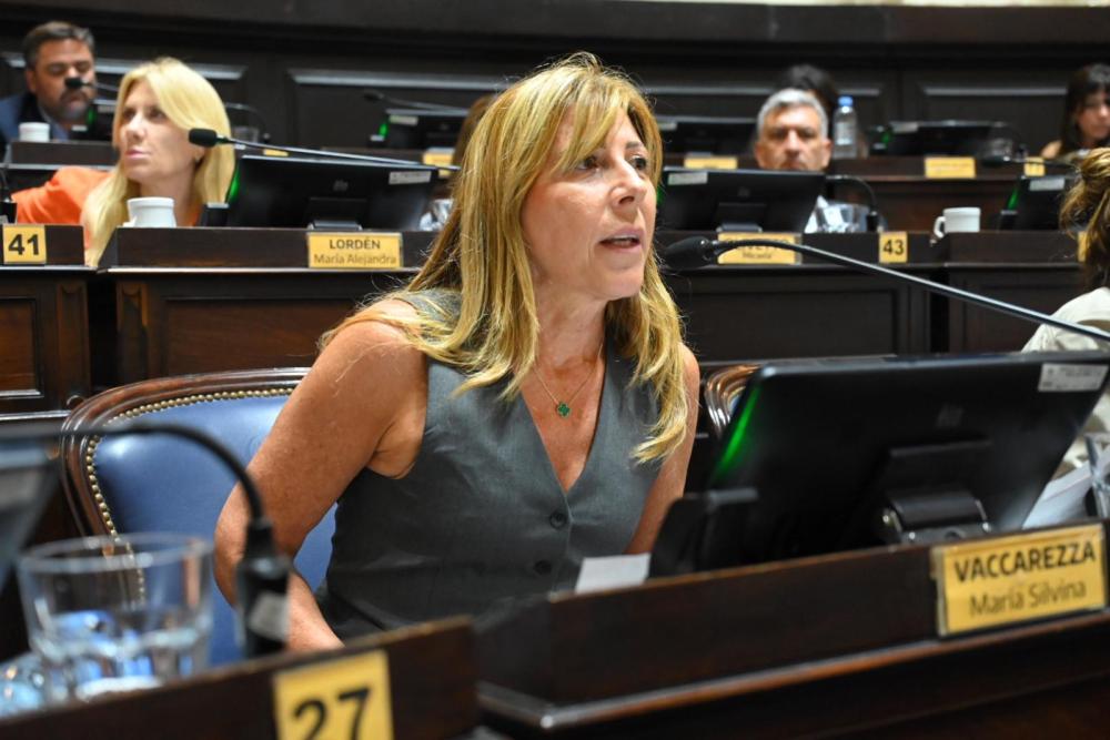 Vaccarezza presentó un proyecto para que la imagen de la Provincia no sea modificada según el gobierno de turno