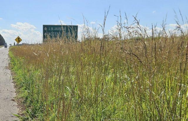 Corredores Viales inicia obras de mantenimiento en la Ruta 5 tras insistentes reclamos