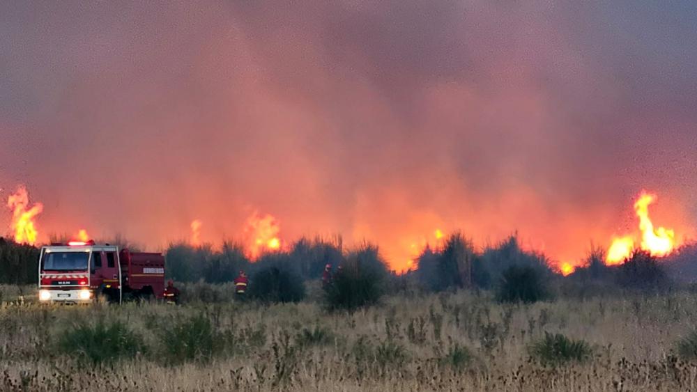 Viento y sequía: el cóctel explosivo que generó un gigantesco incendio cerca de la laguna