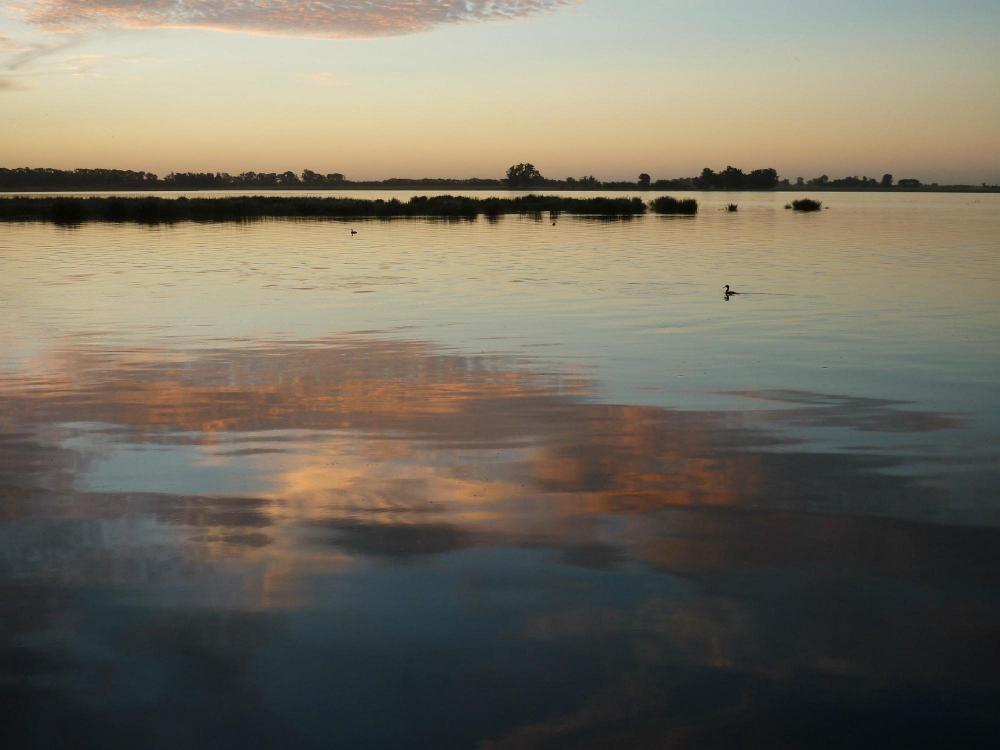 Baja levemente el riesgo de Cianobacterias en la laguna de Bragado según el cálculo de la Provincia
