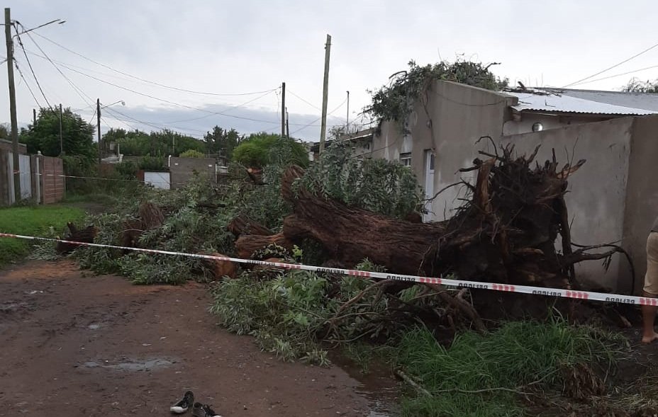 Llegó el alivio: Temporal con ráfagas de 100 kilómetros y otros 50 milímetros de lluvia