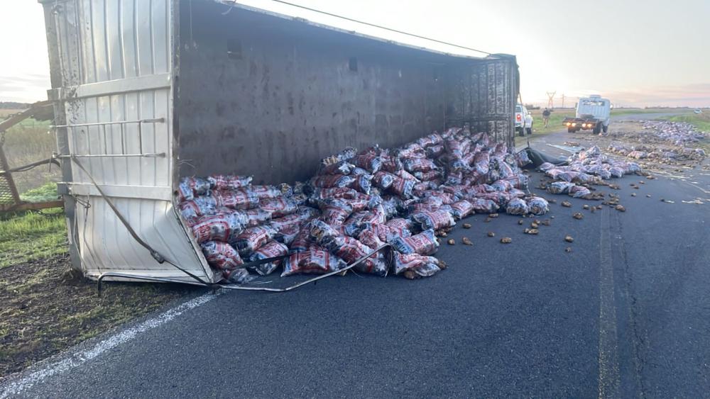 Habemus Papa: volcó un camión cargado sobre la ruta 46